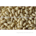 Blanched Peanut Kernel